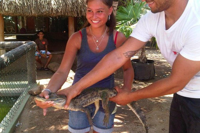 half-day-aruba-animal-sanctuary-guided-tour