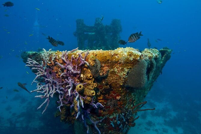 half-day-aruba-intro-diving-course-for-beginners