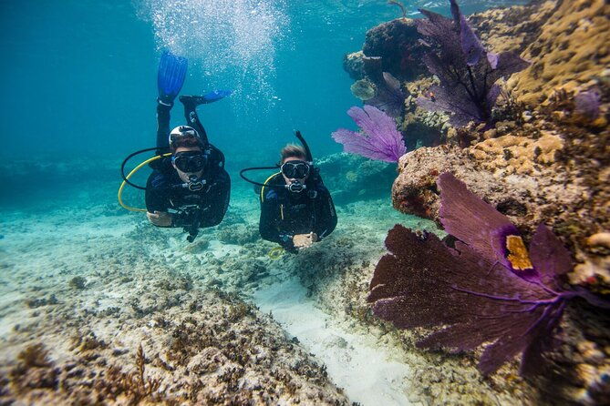 half-day-aruba-intro-diving-course-for-beginners