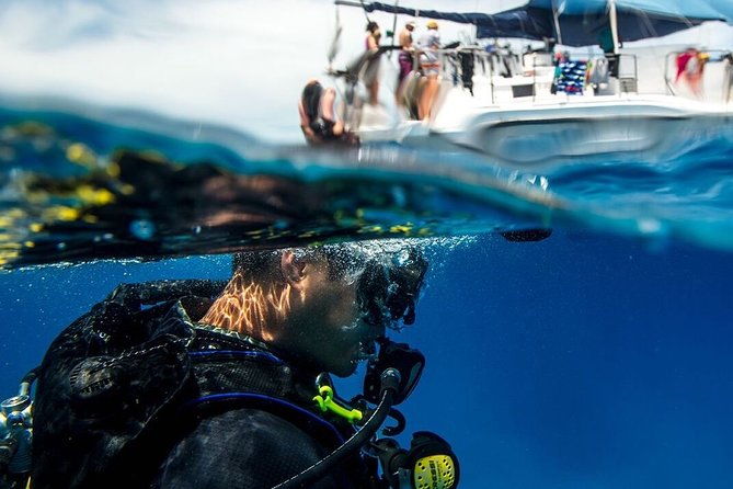 half-day-aruba-intro-diving-course-for-beginners