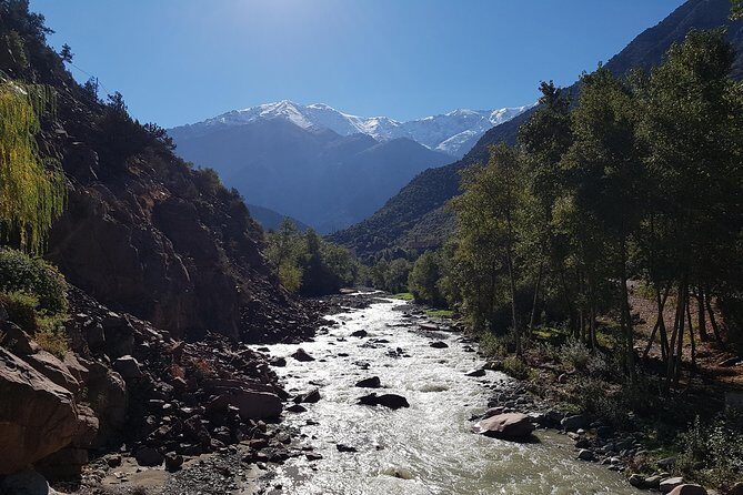 Half-Day Atlas Mountains Tour From Marrakech - The Sum Up: Who Is This Tour Best For?