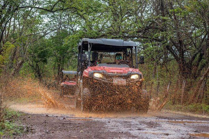 half-day-atv-or-buggy-off-road-adventure-with-beach-bbq
