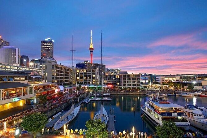 Half Day Auckland City Sightseeing Tour with Expert Guide - Key Points