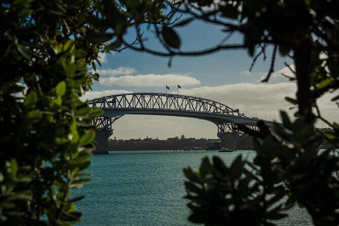 Half Day Auckland City Sightseeing Tour with Expert Guide - The Sum Up