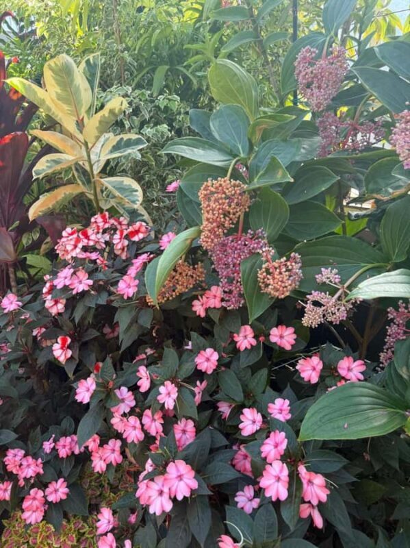 Half-Day Auckland City Tour  The City of Sails Uncovered - FAQs