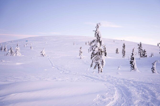 half-day-backcountry-skiing-tour-in-levi-with-photography-guide