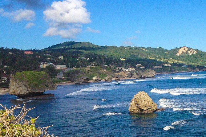 half-day-barbados-tour-harrisons-cave-huntes-garden-and-bathsheba