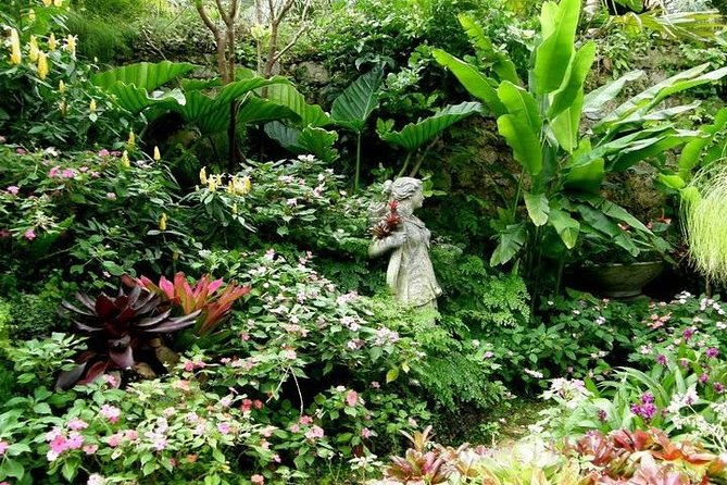 half-day-barbados-tour-harrisons-cave-huntes-garden-and-bathsheba