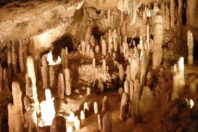 half-day-barbados-tour-harrisons-cave-huntes-garden-and-bathsheba