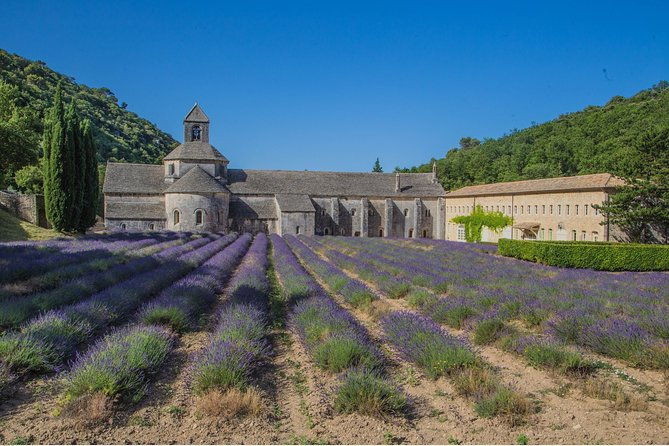 half-day-baux-de-provence-and-luberon-tour-from-avignon
