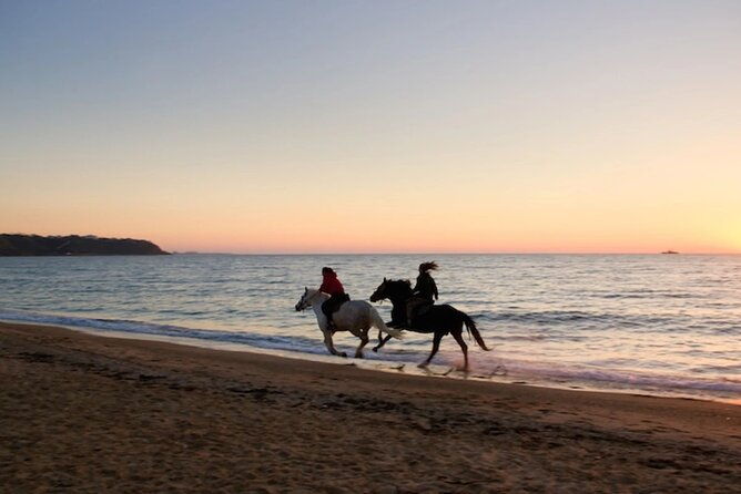 half-day-beach-horse-back-riding-in-puerto-plata