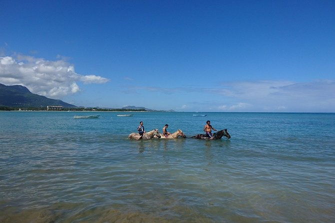 half-day-beach-horse-back-riding-in-puerto-plata