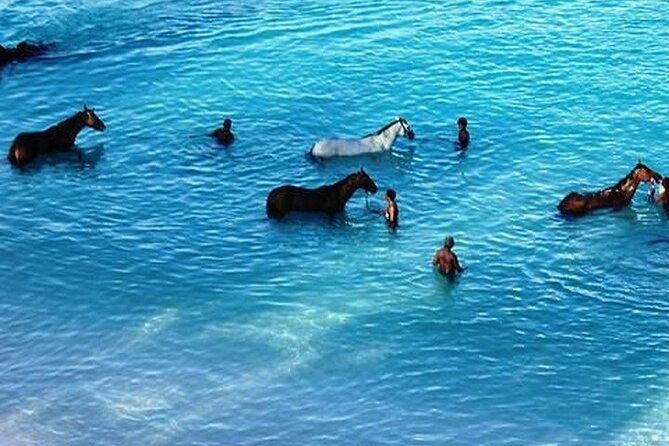 half-day-beach-horse-back-riding-in-puerto-plata
