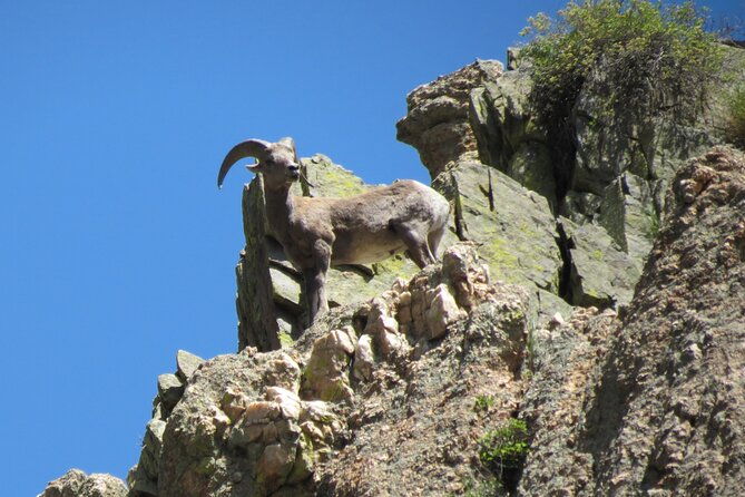 half-day-beg-inter-rafting-near-ft-collins-estes-park-boulder