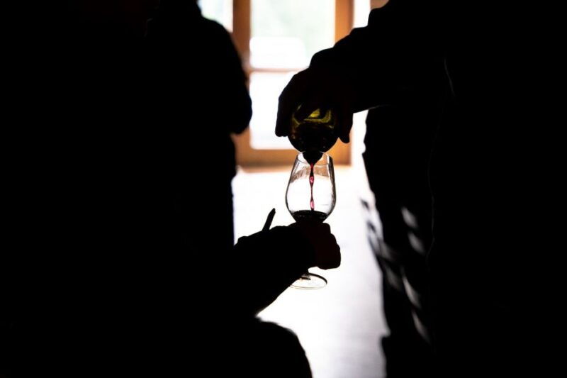 half-day-bike-guided-in-beaujolais-mont-brouilly-and-wine