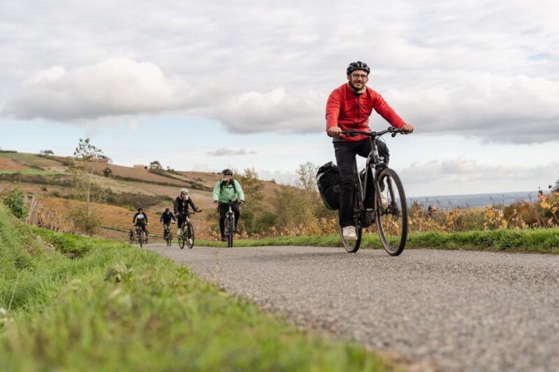 half-day-bike-guided-in-beaujolais-mont-brouilly-and-wine
