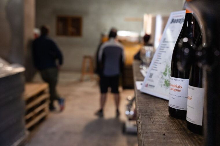 half-day-bike-guided-in-beaujolais-mont-brouilly-and-wine