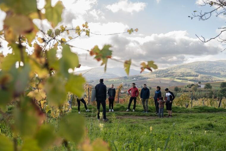 half-day-bike-guided-in-beaujolais-mont-brouilly-and-wine