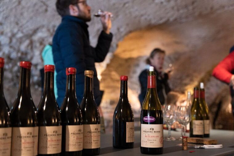 half-day-bike-guided-in-beaujolais-mont-brouilly-and-wine