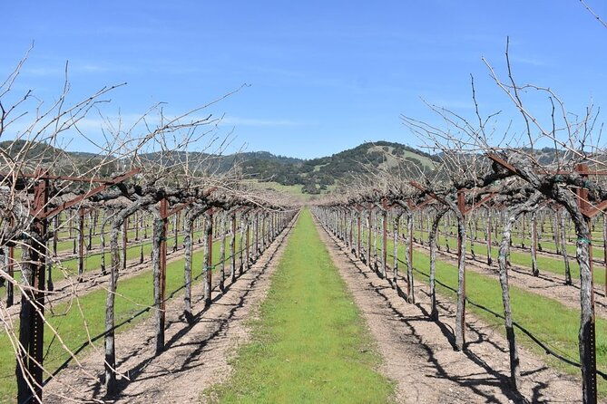 half-day-bike-tour-2