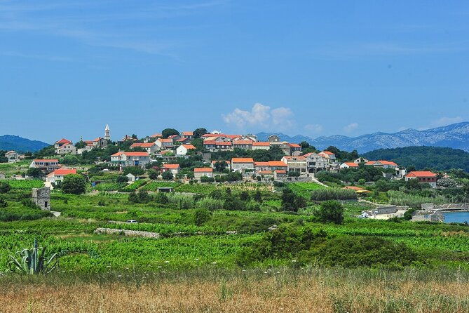 half-day-bike-tour-in-lumbarda-with-wine-tasting