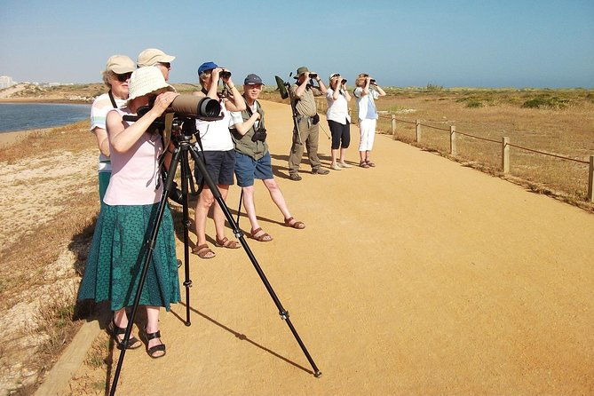 half-day-birdwatching-at-alvor-dunes