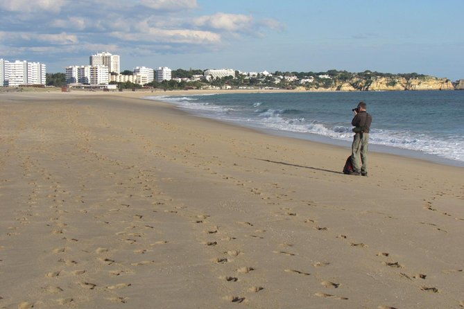 half-day-birdwatching-at-alvor-dunes