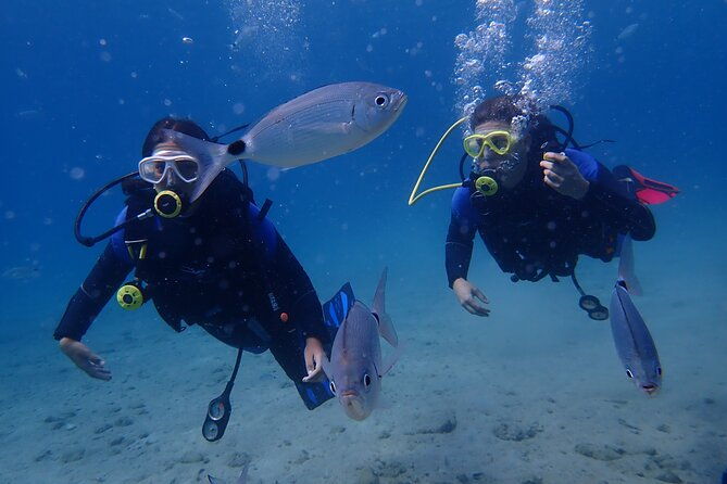 half-day-boat-diving-experience-for-beginners-in-kos-greece