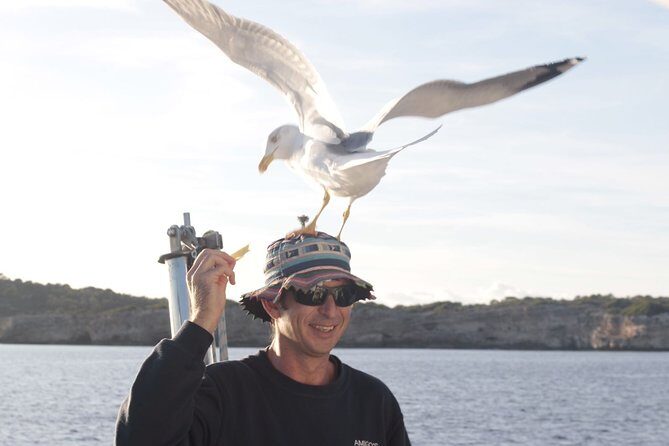 Half-Day Boat Tour along The South Coast of Menorca - Key Points