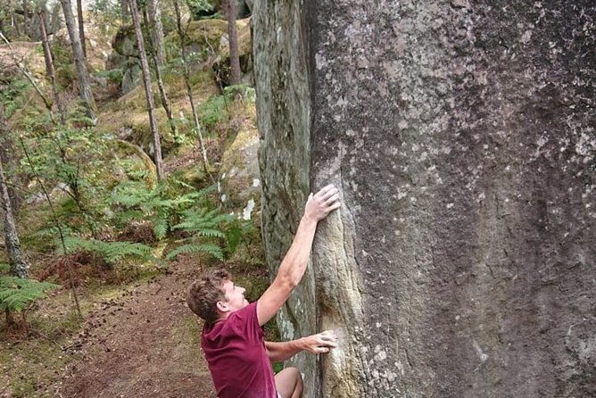 half-day-bouldering-in-fontainebleau-2