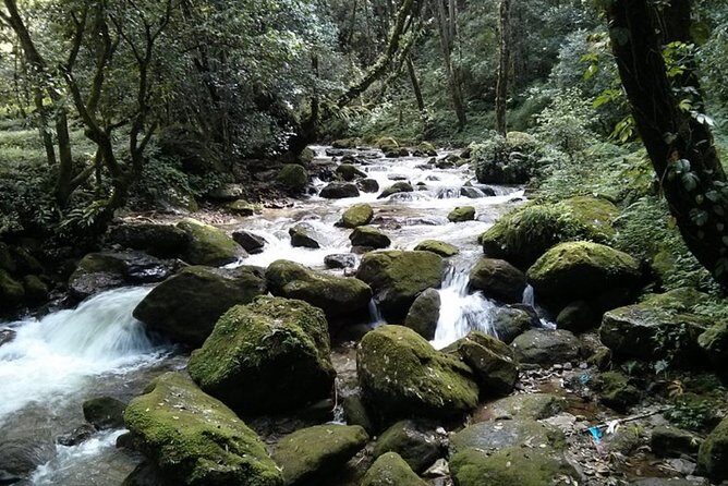 Half day Budaneelkantha hiking tour - Key Points