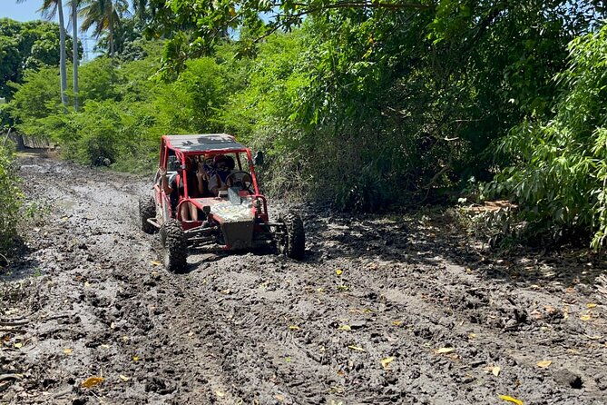 half-day-buggy-guided-adventure-for-amber-cove-and-taino-bay