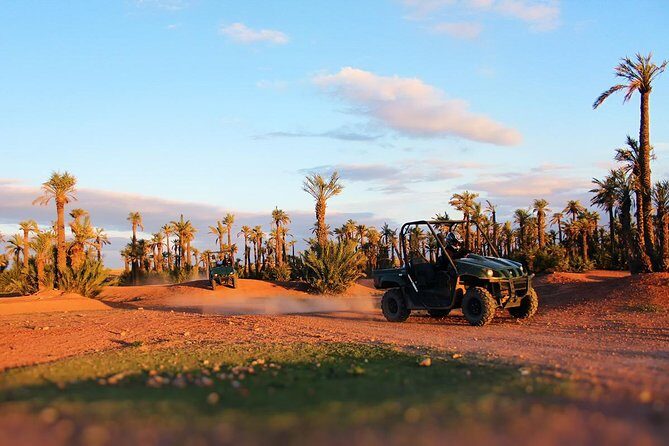 HALF DAY Buggy Palmeraie Marrakech - Value for Money