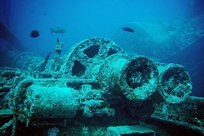 Half Day Bus Tour of Ras Mohammed National Park From Sharm Hotels - FAQ