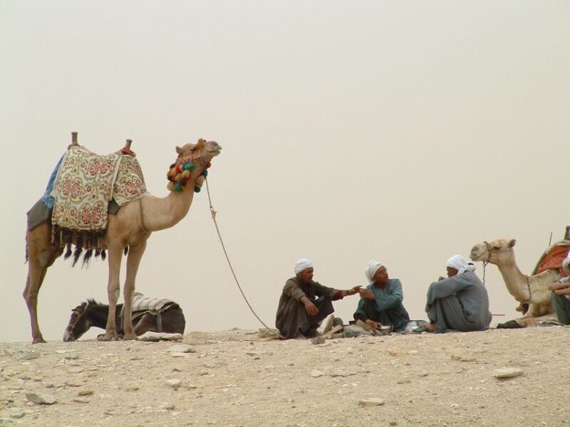 Half-Day Cairo Sightseeing Tour to Pyramids of Giza & Sphinx - Insights from Reviewers