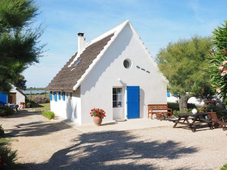 half-day-camargue-wine-tour-fortified-city-and-rose-wines