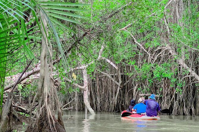 Half Day Canoe Boat Trip At Takuapa Little Amazon - Exploring the Takuapa Little Amazon: A Practical Review of the Half Day Canoe Boat Trip