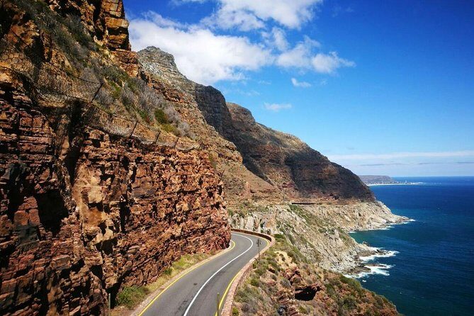 Half-Day Cape Peninsula Tour from Cape Town - Key Points