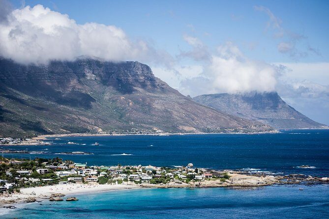 Half-Day Cape Peninsula Tour from Cape Town - What to Expect from the Transport and Guide Experience