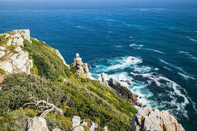 Half-Day Cape Peninsula Tour from Cape Town - FAQs