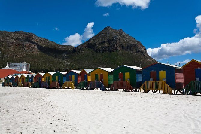 Half day Cape Point Sightseeing Tour with Penguins from Cape Town - The Sum Up