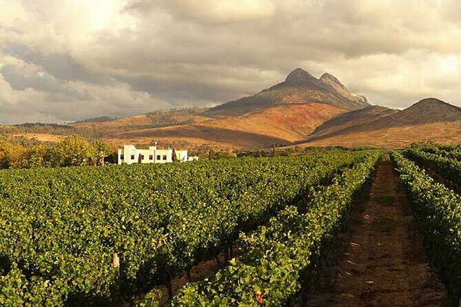 Half Day Cape Winelands Experience in Stellenbosch Private Tour - Exploring the Itinerary in Detail