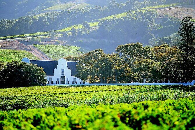 Half Day Cape Winelands Experience in Stellenbosch Private Tour - FAQ