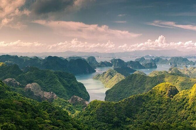 Half-Day Cat Ba National Park Trek & Hidden Cave with Pro Guide - Key Points