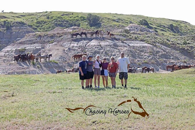 half-day-chasing-horses-wildlife-photography-experience-in-north-dakota
