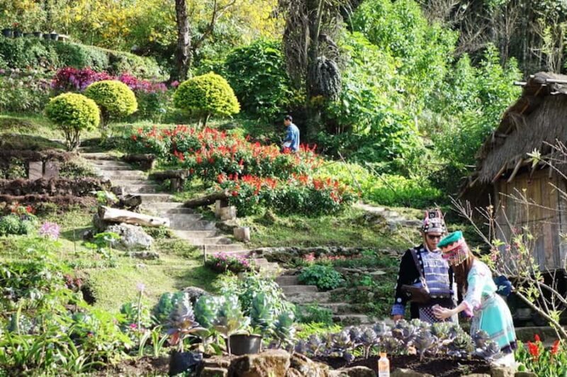 Half day Chiang Mai City tour - Why Doi Suthep and Phei San Hmong Village Are Special