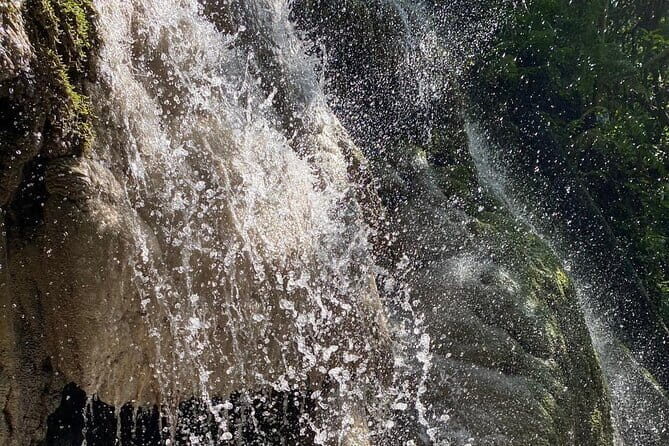 Half Day Chiang Mai Sticky Waterfall and Hotel Transfer - What to Expect from This Chiang Mai Waterfalls Tour