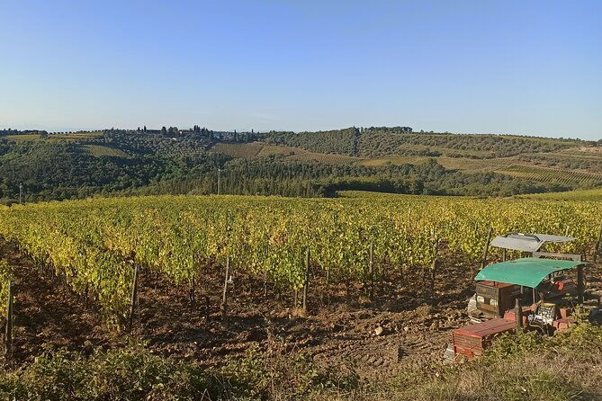 half-day-chianti-classic-tour-with-wine-experience-visit-of-san-gimignano