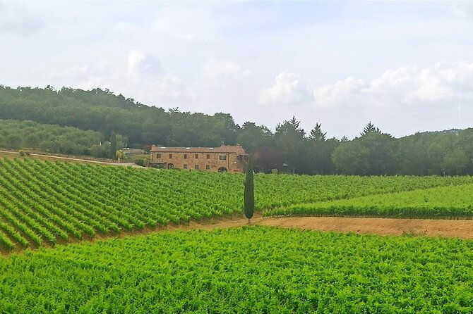 half-day-chianti-classic-tour-with-wine-experience-visit-of-san-gimignano