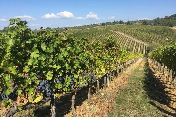 Half-day Chianti Classico Wine tour from Florence - Small Group - The Authenticity and Unique Aspects